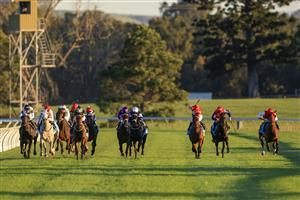 KEMBLA GRANGE, AUSTRALIA - SEPTEMBER 11: Nash Rawiller on Love Tap wins race 10 the Cleanaway Handicap during Sydney Racing at Kembla Grange Racecourse on September 11, 2021 in Kembla Grange, Australia. (Photo by Mark Evans/Getty Images)