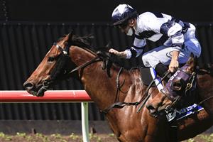 KEMBLA GRANGE, AUSTRALIA - SEPTEMBER 11: Jason Collett on Dalaalaat wins race 4 the Midway Handicap Sydney Racing at Kembla Grange Racecourse on September 11, 2021 in Kembla Grange, Australia. (Photo by Mark Evans/Getty Images)