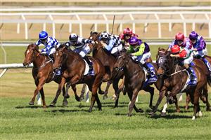 KEMBLA GRANGE, AUSTRALIA - SEPTEMBER 11: Jason Collett on Dalaalaat wins race 4 the Midway Handicap Sydney Racing at Kembla Grange Racecourse on September 11, 2021 in Kembla Grange, Australia.(Photo by Mark Evans/Getty Images)