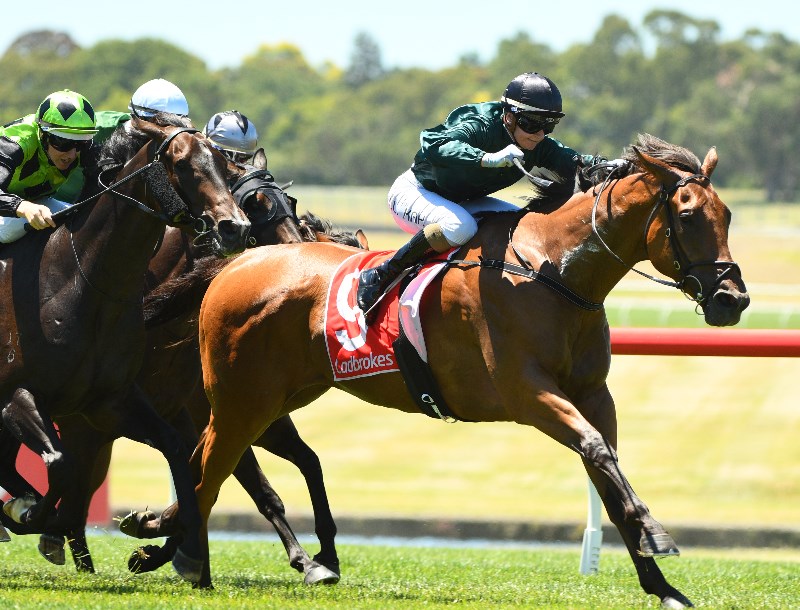 Balaklava tips for 15.09.2021