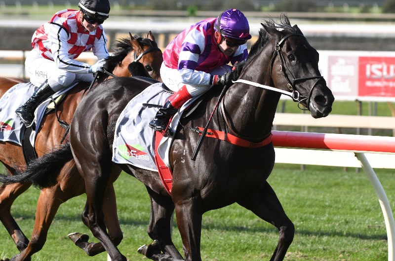Bendigo Betting Tips