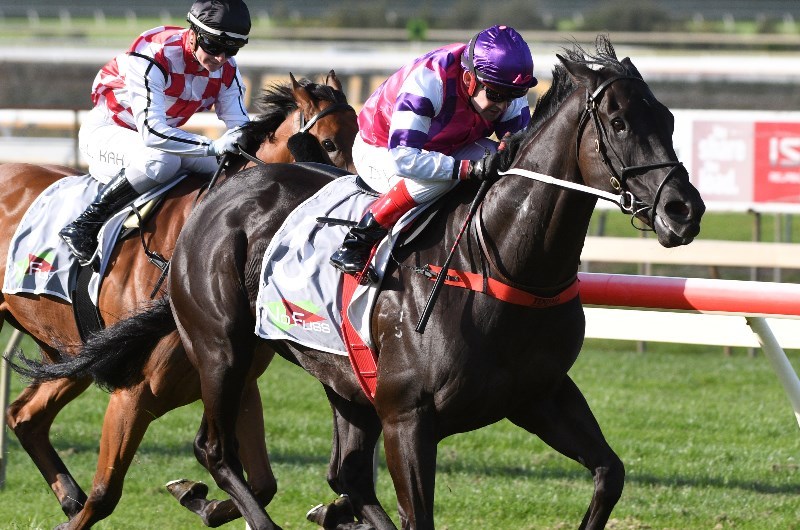 Bendigo Betting Tips