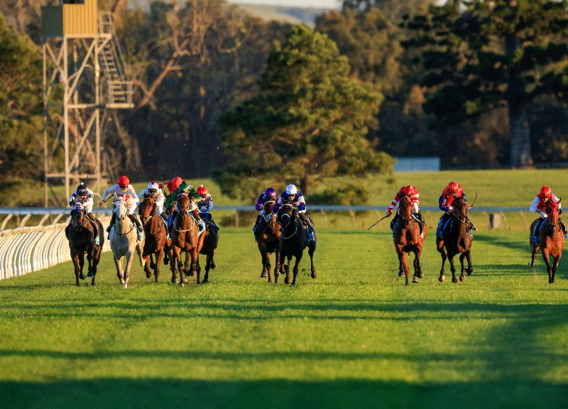 Kembla Grnage Tips for 16.09.2021