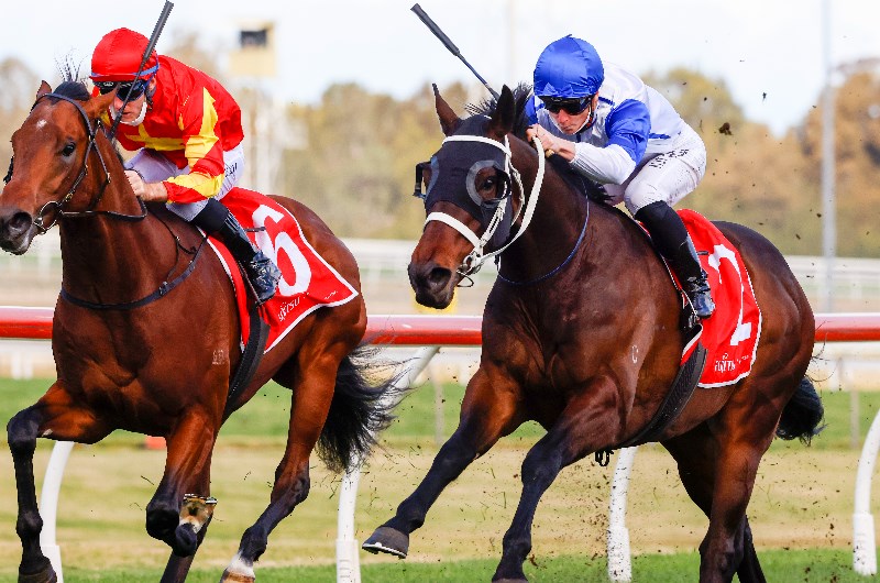 Caulfield Guineas Prelude Tips