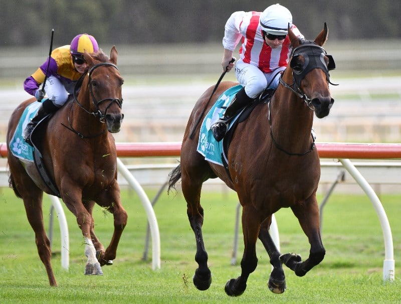 Damien Oliver Jockey Market