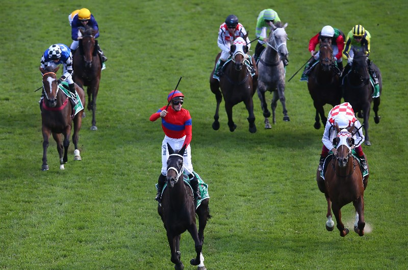 George Main Stakes Final Field