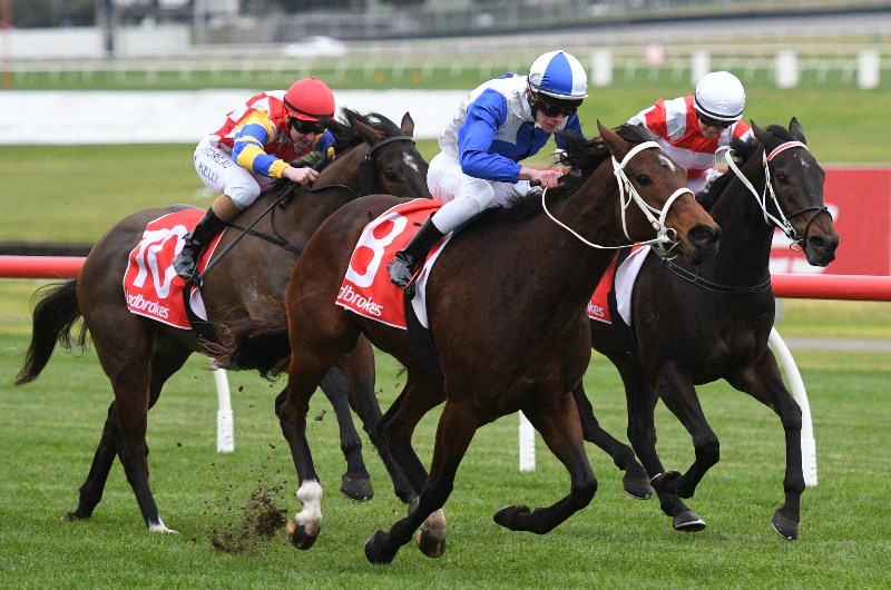 Sale Betting Tips