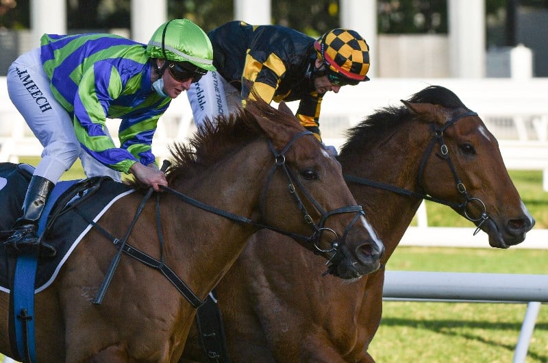 Sir Rupert Clarke Stakes Barrier Draw & Final Field