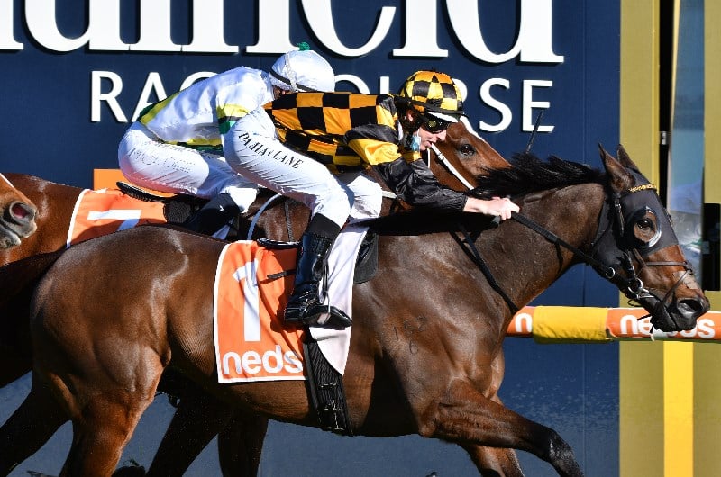 Sir Rupert Clarke Stakes Betting Tip