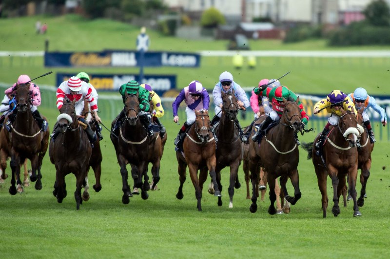 ayr gold cup
