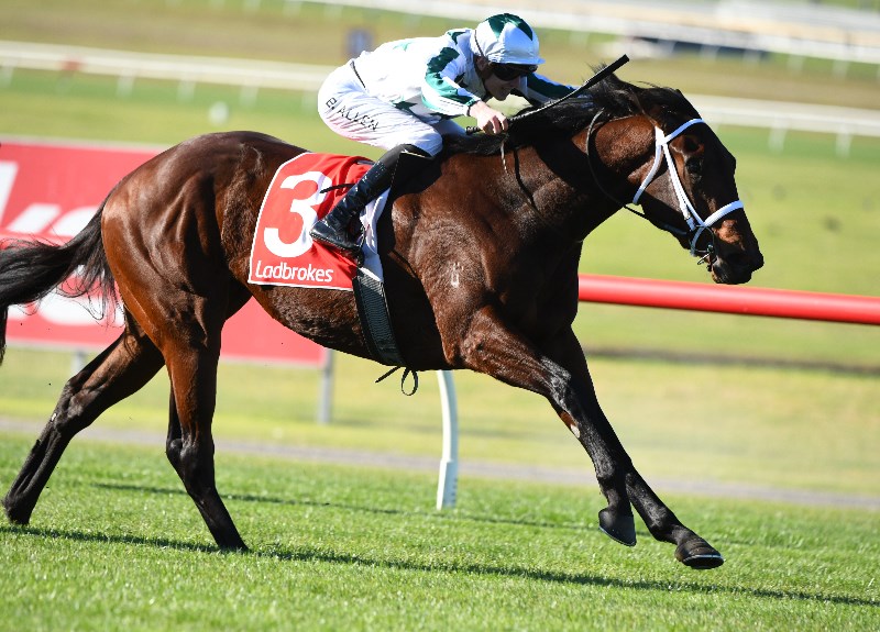 Ben Allen Jockey Markets