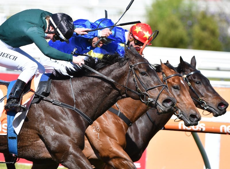 Caulfield Betting Tips