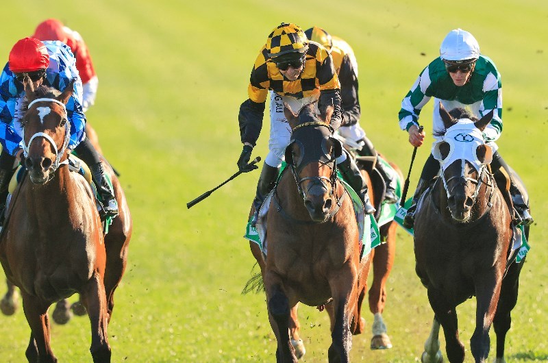 Coolmore Legacy Stakes Tips