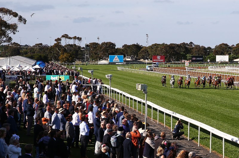 Geelong Betting Tips