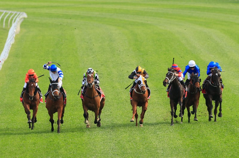 Randwick Tips for 18.09.2021