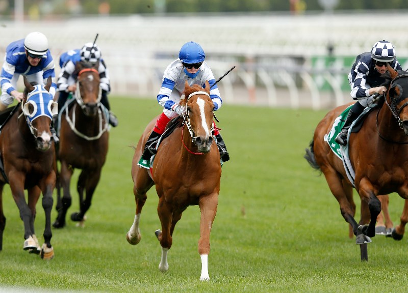 Morphettville Tips for 18.09.2021