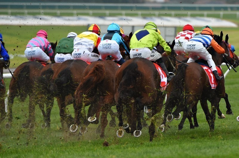 pinjarra tips for 20.05.2020