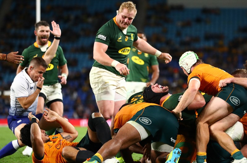 springboks wallabies