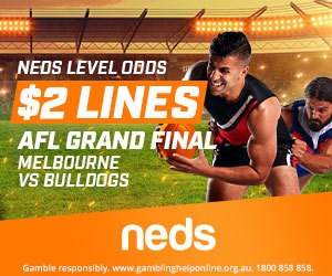 AFL Grand Final Neds AFL Grand Final Neds