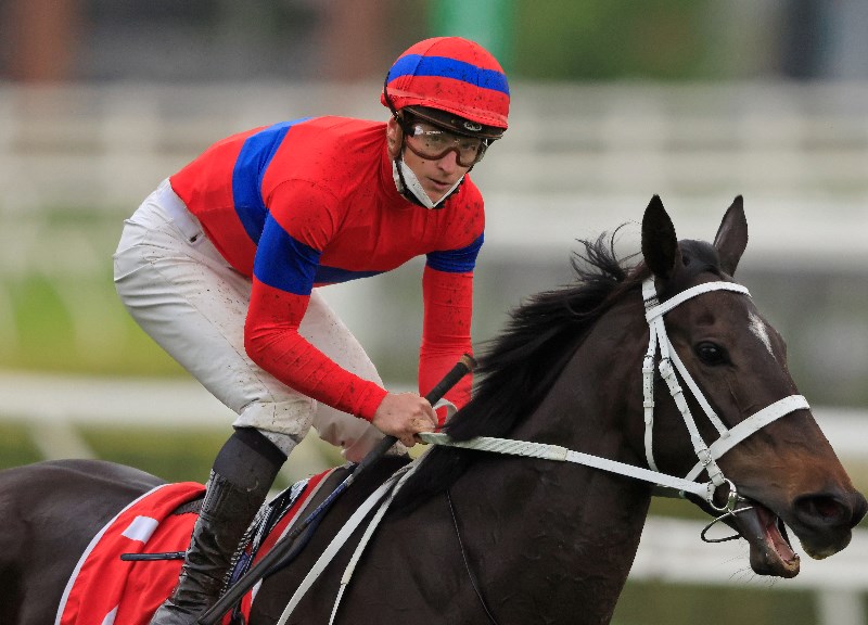 Big Bets Results from 18.09.2021