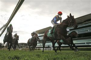 SYDNEY, AUSTRALIA - SEPTEMBER 18: Jason Collett on She's Ideel wins race 9 the Kingston Town Stakes during Sydney Racing at Royal Randwick Racecourse on September 18, 2021 in Sydney, Australia. (Getty)