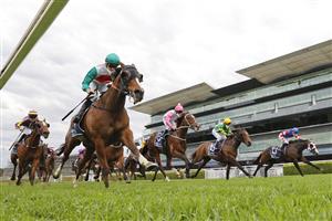 SYDNEY, AUSTRALIA - SEPTEMBER 18: Jason Collett on Canyonero wins race 3 the Midway Handicap during Sydney Racing at Royal Randwick Racecourse on September 18, 2021 in Sydney, Australia. (Photo by Mark Evans/Getty Images)