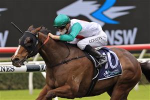 SYDNEY, AUSTRALIA - SEPTEMBER 18: Jason Collett on Canyonero wins race3 the Midway Handicap during Sydney Racing at Royal Randwick Racecourse on September 18, 2021 in Sydney, Australia. (Photo by Mark Evans/Getty Images)
