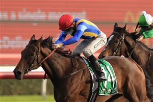 SYDNEY, AUSTRALIA - SEPTEMBER 18: Jason Collett on She's Ideel wins race 9 the Kingston Town Stakes during Sydney Racing at Royal Randwick Racecourse on September 18, 2021 in Sydney, Australia. (Getty)