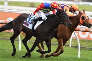 MELBOURNE, AUSTRALIA - SEPTEMBER 18: Daniel Moor riding Dirty Thoughts defeats Matthew Cartwright riding The Gauch in Race 1, the PFD Food Services for NJT Hcp, during Melbourne Racing at Caulfield Racecourse on September 18, 2021 in Melbourne, Australia. (Photo by Vince Caligiuri/Getty Images)