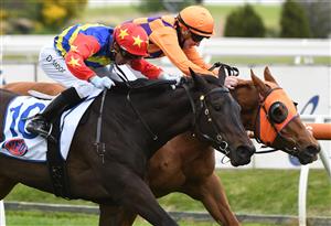 MELBOURNE, AUSTRALIA - SEPTEMBER 18: Daniel Moor riding Dirty Thoughts defeats Matthew Cartwright riding The Gauch in Race 1, the PFD Food Services for NJT Hcp, during Melbourne Racing at Caulfield Racecourse on September 18, 2021 in Melbourne, Australia. (Photo by Vince Caligiuri/Getty Images)