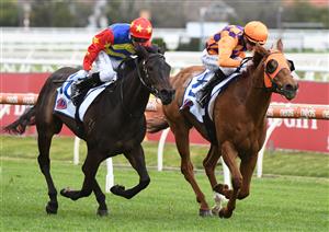 MELBOURNE, AUSTRALIA - SEPTEMBER 18: Daniel Moor riding Dirty Thoughts defeats Matthew Cartwright riding The Gauch in Race 1, the PFD Food Services for NJT Hcp, during Melbourne Racing at Caulfield Racecourse on September 18, 2021 in Melbourne, Australia. (Photo by Vince Caligiuri/Getty Images)