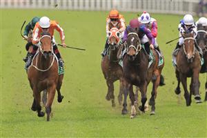 SYDNEY, AUSTRALIA - SEPTEMBER 18: Hugh Bowman on Leo (L) wins race 1 the TAB Highway Handicap during Sydney Racing at Royal Randwick Racecourse on September 18, 2021 in Sydney, Australia. (Photo by Mark Evans/Getty Images)