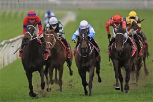 SYDNEY, AUSTRALIA - SEPTEMBER 18: James McDonald on Verry Elleegant wins race 7 the Fujitsu General George Main Stakes during Sydney Racing at Royal Randwick Racecourse on September 18, 2021 in Sydney, Australia. (Photo by Mark Evans/Getty Images)