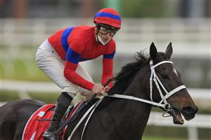 SYDNEY, AUSTRALIA - SEPTEMBER 18: James McDonald on Verry Elleegant returns to scale after winning race 7 the Fujitsu General George Main Stakes during Sydney Racing at Royal Randwick Racecourse on September 18, 2021 in Sydney, Australia. (Photo by Mark Evans/Getty Images)