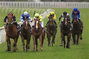 SYDNEY, AUSTRALIA - SEPTEMBER 18: Nash Rawiller on Eduardo (yellow), wins race 8 the Bowermans Commercial Furniture Shorts from James McDonald on Nature Strip during Sydney Racing at Royal Randwick Racecourse on September 18, 2021 in Sydney, Australia. (Photo by Mark Evans/Getty Images)