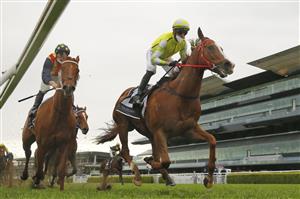 SYDNEY, AUSTRALIA - SEPTEMBER 18: Nash Rawiller on Eduardo wins wins race 8 the Bowermans Commercial Furniture Shorts from James McDonald on Nature Strip during Sydney Racing at Royal Randwick Racecourse on September 18, 2021 in Sydney, Australia. (Photo by Mark Evans/Getty Images)