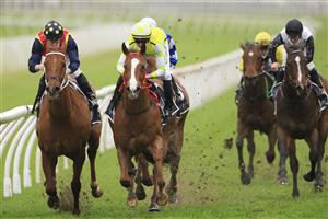 SYDNEY, AUSTRALIA - SEPTEMBER 18: Nash Rawiller on Eduardo (yellow), wins race 8 the Bowermans Commercial Furniture Shorts from James McDonald on Nature Strip during Sydney Racing at Royal Randwick Racecourse on September 18, 2021 in Sydney, Australia. (Photo by Mark Evans/Getty Images)
