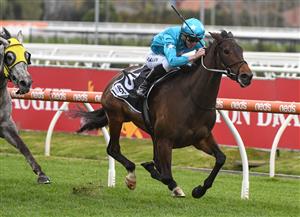 MELBOURNE, AUSTRALIA - SEPTEMBER 18: John Allen riding Annavisto winning race 6, the 4cyte For Living Legends Handicap, during Melbourne Racing at Caulfield Racecourse on September 18, 2021 in Melbourne, Australia. (Photo by Vince Caligiuri/Getty Images)