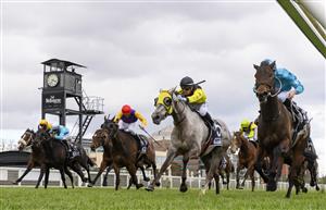 MELBOURNE, AUSTRALIA - SEPTEMBER 18: John Allen riding Annavisto winning race 6, the 4cyte For Living Legends Handicap, during Melbourne Racing at Caulfield Racecourse on September 18, 2021 in Melbourne, Australia. (Photo by Vince Caligiuri/Getty Images)