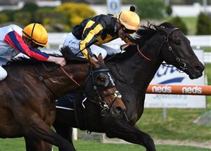 MELBOURNE, AUSTRALIA - SEPTEMBER 18: Jordan Childs riding Nonconformist defeats John Allen riding Delphi (L) in Race 7, the Catanach's Jewellers MRC Foundation Cup during Melbourne Racing at Caulfield Racecourse on September 18, 2021 in Melbourne, Australia. (Getty)