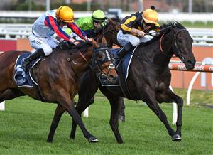 MELBOURNE, AUSTRALIA - SEPTEMBER 18: Jordan Childs riding Nonconformist defeats John Allen riding Delphi (L) in Race 7, the Catanach's Jewellers MRC Foundation Cup during Melbourne Racing at Caulfield Racecourse on September 18, 2021 in Melbourne, Australia. (Getty)