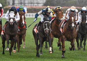 MELBOURNE, AUSTRALIA - SEPTEMBER 18: Daniel Moor riding Sierra Sue (ctr) defeats Fred Kersley riding Dice Roll and Jye McNeil riding I'm Thunderstruck in Race 8, Sir Rupert Clarke Stakes during Melbourne Racing at Caulfield Racecourse on September 18, 2021 in Melbourne, Australia. (Getty)