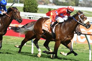 MELBOURNE, AUSTRALIA - SEPTEMBER 18: Luke Nolen riding Lightsaber winning Race 4, the Neds Caulfield Guineas Prelude, during Melbourne Racing at Caulfield Racecourse on September 18, 2021 in Melbourne, Australia. (Photo by Vince Caligiuri/Getty Images)