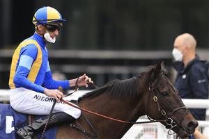 SYDNEY, AUSTRALIA - SEPTEMBER 18: Nash Rawiller on Kiss The Bride returns to scale after winning race 2 the Peachester Lodge Shoot Out Mile during Sydney Racing at Royal Randwick Racecourse on September 18, 2021 in Sydney, Australia. (Photo by Mark Evans/Getty Images)