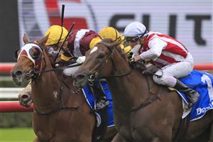 SYDNEY, AUSTRALIA - SEPTEMBER 18: Nash Rawiller on Four moves Ahead wins race 6 the Darley Tea Rose Stakes during Sydney Racing at Royal Randwick Racecourse on September 18, 2021 in Sydney, Australia. (Photo by Mark Evans/Getty Images)