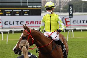 SYDNEY, AUSTRALIA - SEPTEMBER 18: Nash Rawiller on Eduardo returns to scale after winning race 8 the Bowermans Commercial Furniture Shorts during Sydney Racing at Royal Randwick Racecourse on September 18, 2021 in Sydney, Australia. (Photo by Mark Evans/Getty Images)