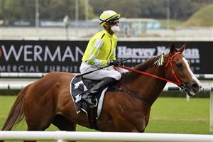 SYDNEY, AUSTRALIA - SEPTEMBER 18: Nash Rawiller on Eduardo returns to scale after winning race 8 the Bowermans Commercial Furniture Shorts during Sydney Racing at Royal Randwick Racecourse on September 18, 2021 in Sydney, Australia. (Photo by Mark Evans/Getty Images)