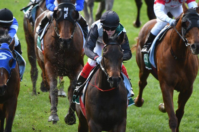 Flemington Betting Tips