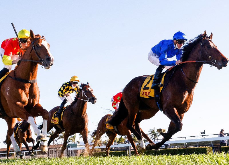 Golden Rose barrier Draw
