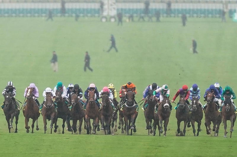 newmarket september